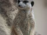 20120602-IMG 3646