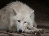 20120602-IMG 3676