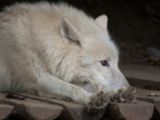 20120602-IMG 3678