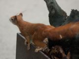 20120602-IMG 3679