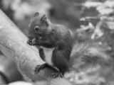 20120602-IMG 3683