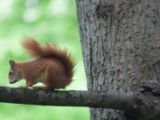 20120602-IMG 3689