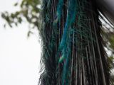 20120602-IMG 3730