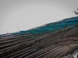20120602-IMG 3731