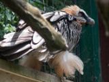 20120602-IMG 3752