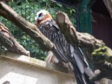 20120602-IMG 3754