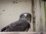 20120602-IMG 3757