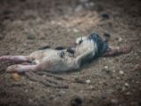 20120602-IMG 3761