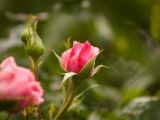 20120602-IMG 3764