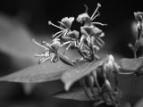 20120602-IMG 3771