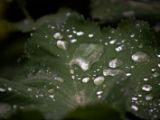 20120602-IMG 3773