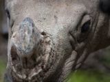 20120602-IMG 3777
