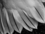 20120602-IMG 3805