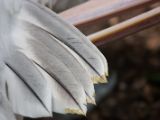 20120602-IMG 3807