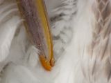 20120602-IMG 3810