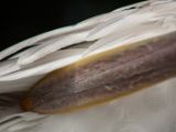 20120602-IMG 3812