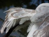 20120602-IMG 3815