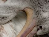20120602-IMG 3818