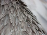 20120602-IMG 3819