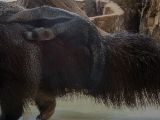 20120602-IMG 3831