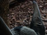 20120602-IMG 3843