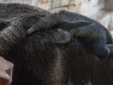 20120602-IMG 3847