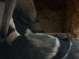 20120602-IMG 3848