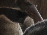 20120602-IMG 3852