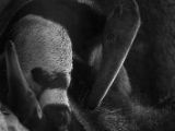 20120602-IMG 3856