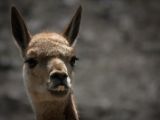 20120602-IMG 3859