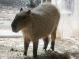 20120602-IMG 3860