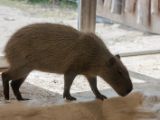20120602-IMG 3861