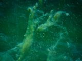 20120602-IMG 3880