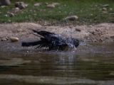 20120602-IMG 3885