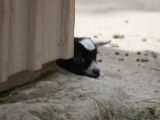20120602-IMG 3899