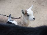 20120602-IMG 3907