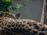 20120602-IMG 3935