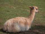 20120602-IMG 3936