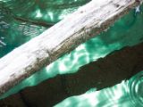 20120602-IMG 3944