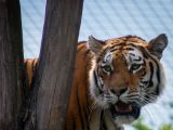 20120602-IMG 3964