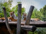 20120602-IMG 3983
