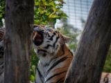 20120602-IMG 3987