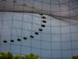 20120603-IMG 3999