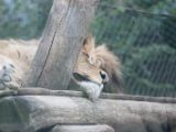 20120603-IMG 4004