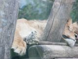 20120603-IMG 4005