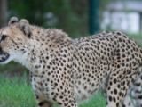 20120603-IMG 4013