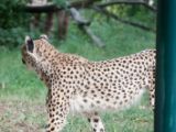 20120603-IMG 4014