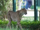 20120603-IMG 4015