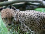 20120603-IMG 4019
