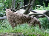 20120603-IMG 4020